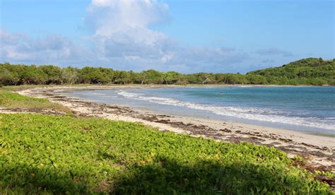 martinique nude beach|The naturist beach of Anse Trabaud in Martinique